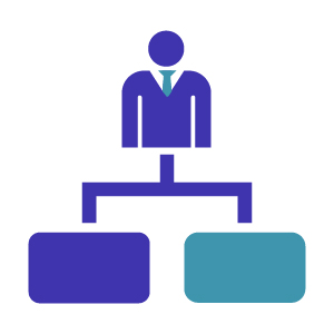 ADVANCE Solution Icon